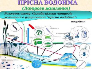 753bd386930d515439037d02c7c28ae9