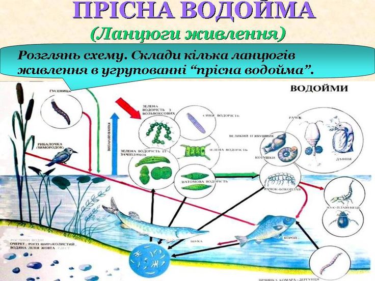 753bd386930d515439037d02c7c28ae9