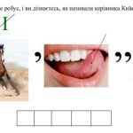 Ребуси з історії України 5 клас з відповідями