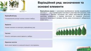 shho-take-variaczijnyj-ryad