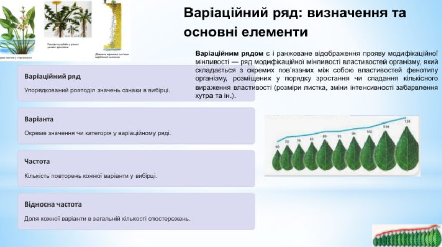 shho-take-variaczijnyj-ryad
