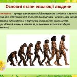 Основні етапи еволюції людини: таблиця і хронологія